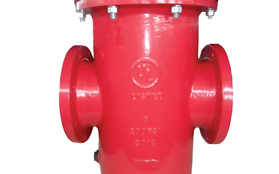 Filtro de Cesta – Brida