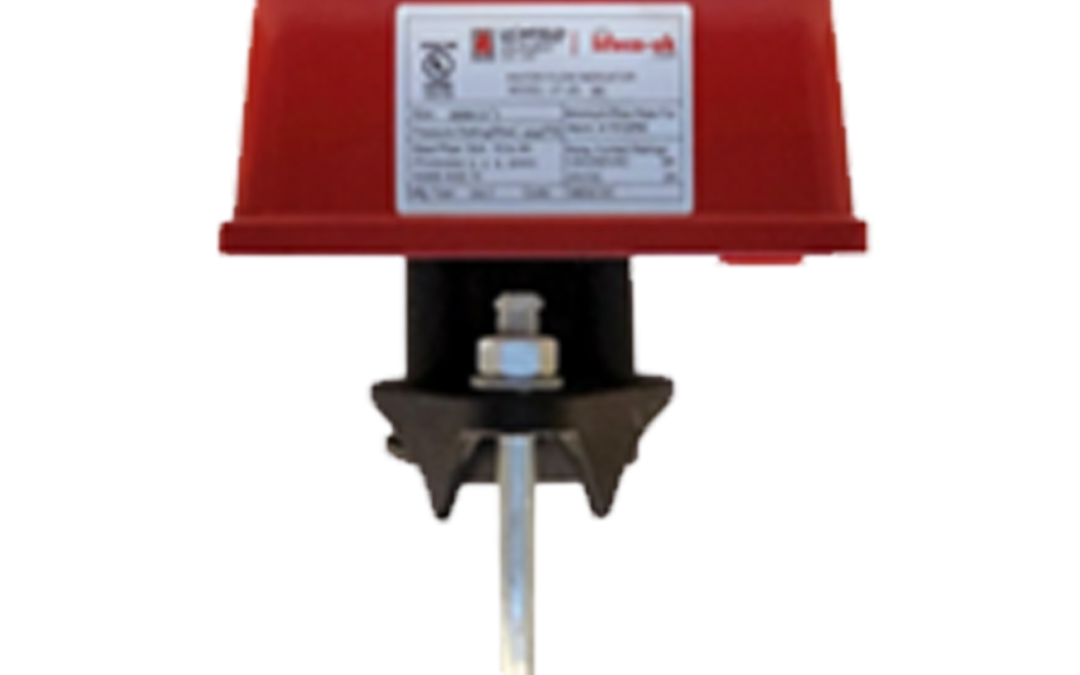 Interruptor de flujo