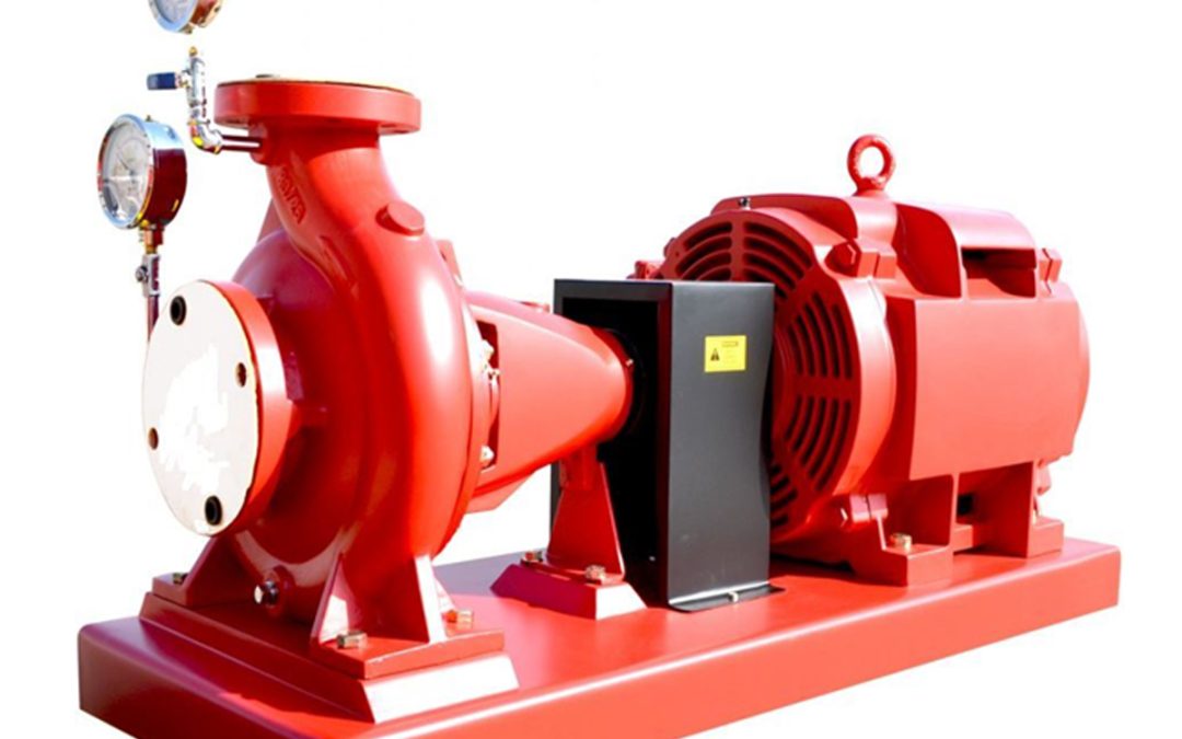 Patines Impulsados por Motor Eléctrico