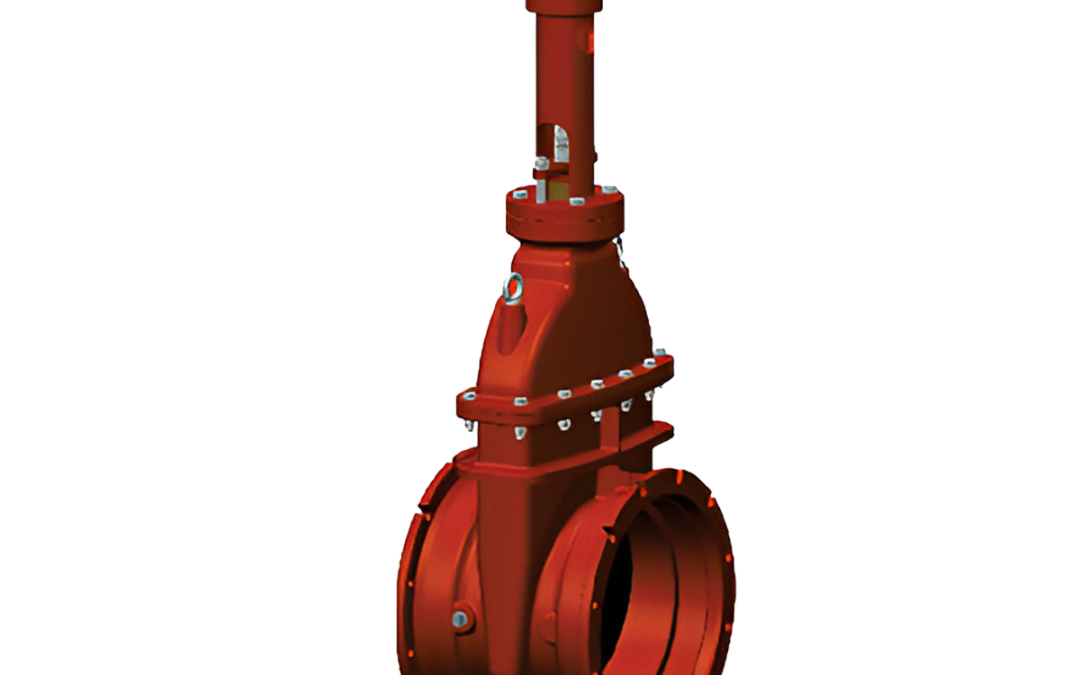 Junta Mecánica con Brida X – 250 PSI