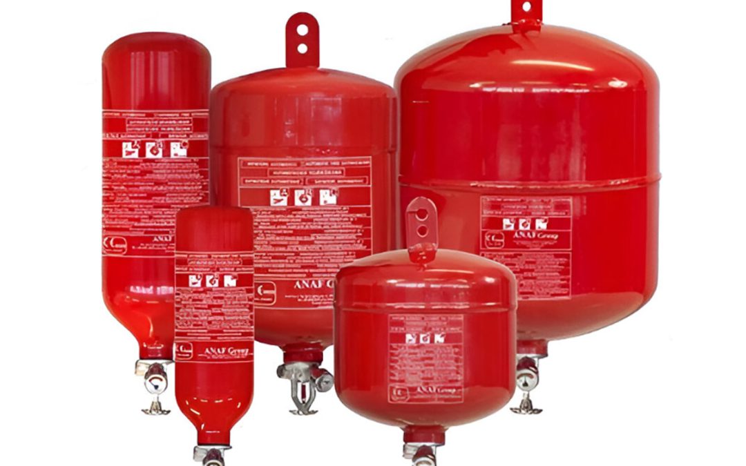 Extintor de Polvo Seco